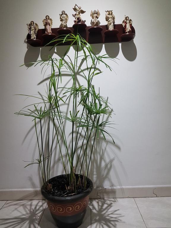 Tu Hogar Cerca A La Zona T Lägenhet Bogotá Exteriör bild